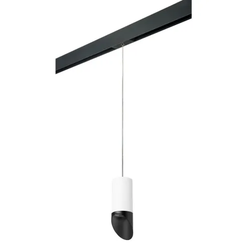 Трековый светильник Lightstar Rullo (214436+595857+201437) PRORP43637 